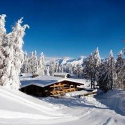 фото отеля Hofelet Alm Hutte