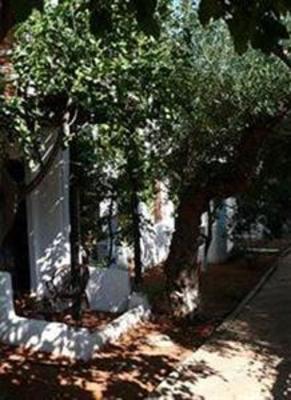 фото отеля Kalypso Hotel Bungalows