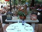 фото отеля Kalypso Hotel Bungalows