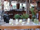 фото отеля Kalypso Hotel Bungalows