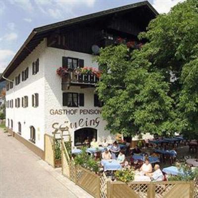 фото отеля Gasthof Pension Säuling Pinswang