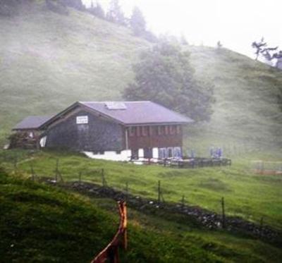 фото отеля Waldruh Gasthof Wiesing