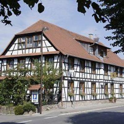 фото отеля Napoleon Hotel Restaurant Rheinau