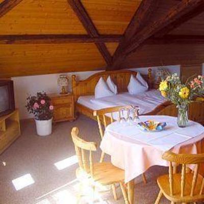 фото отеля Napoleon Hotel Restaurant Rheinau
