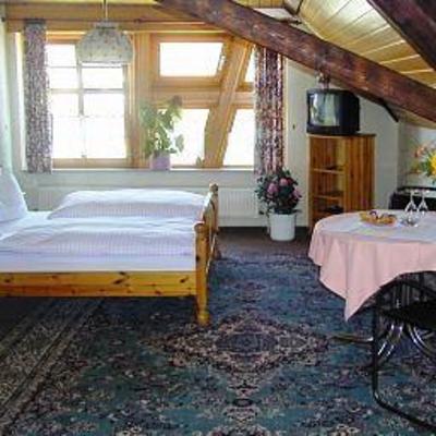 фото отеля Napoleon Hotel Restaurant Rheinau
