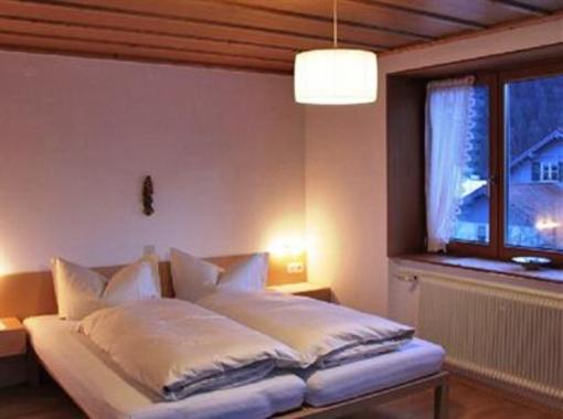 фото отеля Appartement Isabella und Elisabeth Bezau