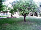 фото отеля Hotel Le Mas De L Etoile Aubagne