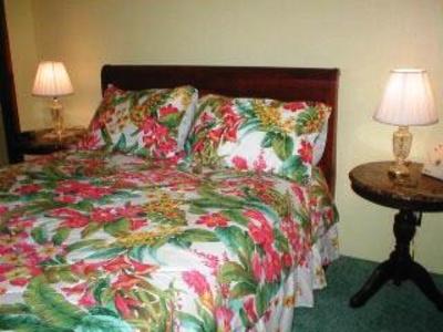 фото отеля Macadamia Meadows Farm Bed & Breakfast
