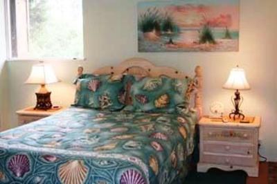 фото отеля Macadamia Meadows Farm Bed & Breakfast
