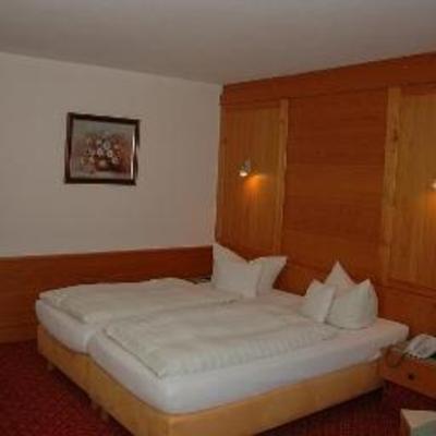 фото отеля Hotel Alpenhof Bad Tolz