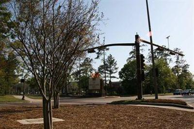 фото отеля Hampton Inn & Suites Conroe - I-45 North