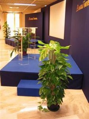 фото отеля Antas Hotel Fluminimaggiore
