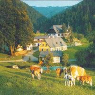 фото отеля Bauernhof Ebnerhof
