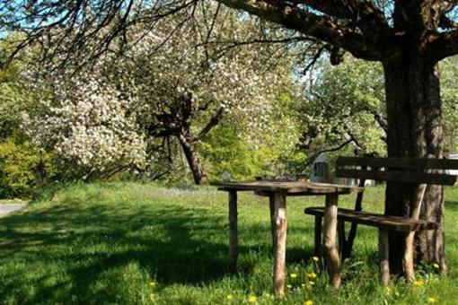 фото отеля Altes Gehoft Am Lormanberg