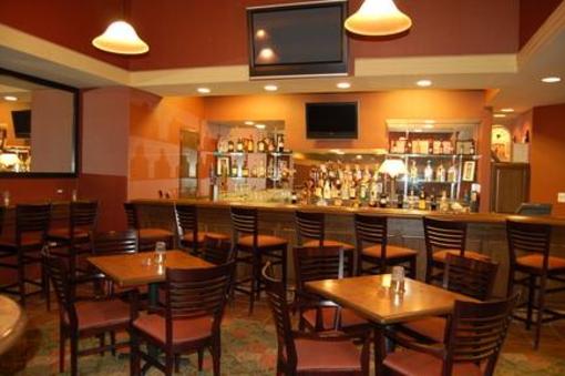 фото отеля Holiday Inn Bolingbrook