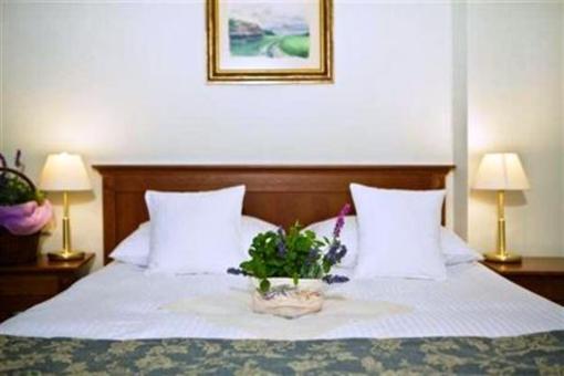 фото отеля Hotel Ossa Congress & Spa
