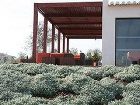 фото отеля Quinta Do Mel Hotel Albufeira