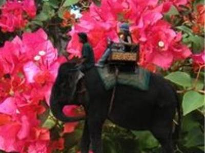 фото отеля Bougainvillier Boutique Hotel