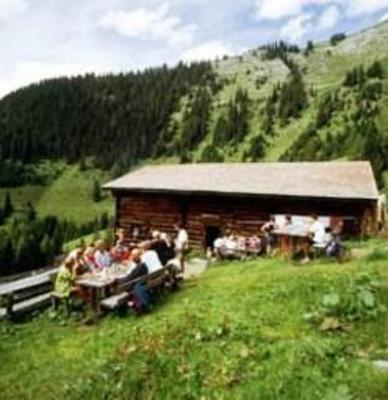 фото отеля Appartementhaus Gruber Grossarl