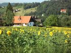 фото отеля Ferienwohnungen Soravia