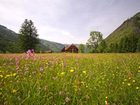 фото отеля Appartements Zettler Donnersbachwald