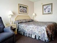 Safari Inn Downtown