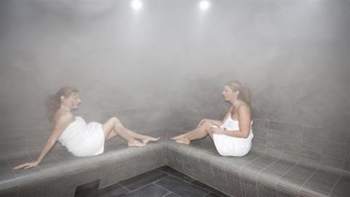 фото отеля Hotel Le Samoyede Morzine