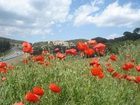фото отеля Monestir de les Avellanes Hotel Os de Balaguer