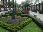 фото отеля Tan Hoang Long Hotel