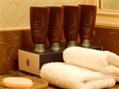 фото отеля InterContinental Almaty