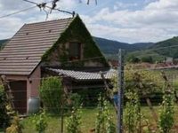 Le Vogelgarten
