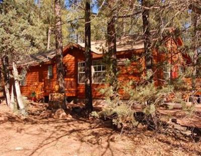 фото отеля Kamp Kiwis Cabins