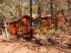 фото отеля Kamp Kiwis Cabins