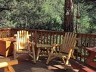 фото отеля Kamp Kiwis Cabins