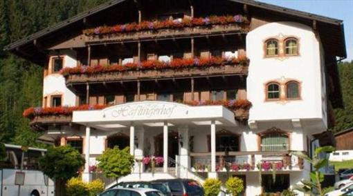 фото отеля Hotel Haflingerhof
