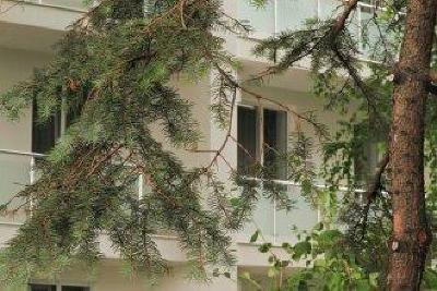 фото отеля Hotel Vele Rosso