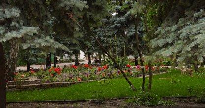 фото отеля Hotel Vele Rosso