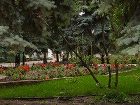 фото отеля Hotel Vele Rosso