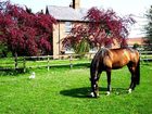фото отеля High Belthorpe Bed & Breakfast Bishop Wilton