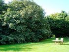 фото отеля High Belthorpe Bed & Breakfast Bishop Wilton
