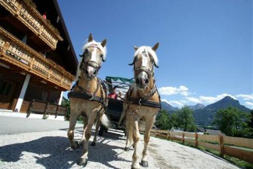 фото отеля Hotel Bauernhof Altroiterhof St. Wolfgang