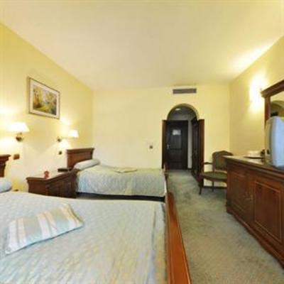 фото отеля Maria Hotel Botosani