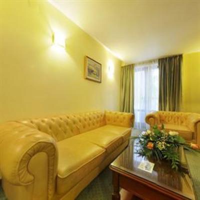 фото отеля Maria Hotel Botosani
