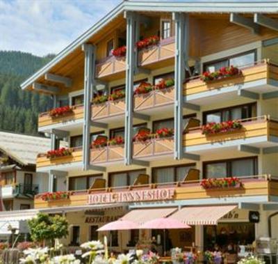 фото отеля Hanneshof Hotel Restaurant Filzmoos