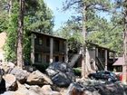 фото отеля Motel in the Pines