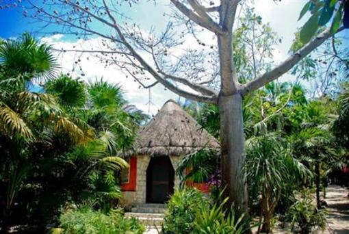 фото отеля Dos Ceibas Posada Ecologica