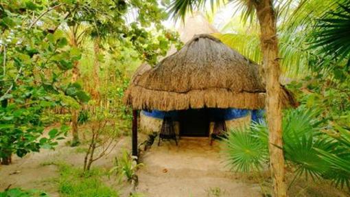 фото отеля Dos Ceibas Posada Ecologica