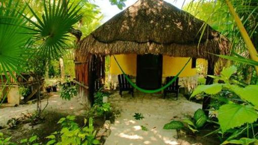 фото отеля Dos Ceibas Posada Ecologica