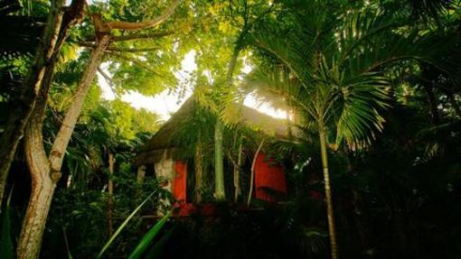 фото отеля Dos Ceibas Posada Ecologica