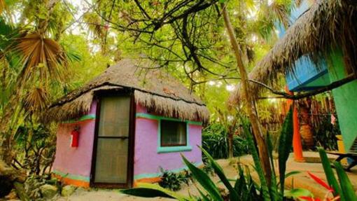 фото отеля Dos Ceibas Posada Ecologica